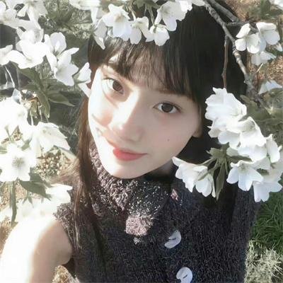 机器肉鸡第三季